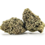 Amnesia 2.0 Hydro