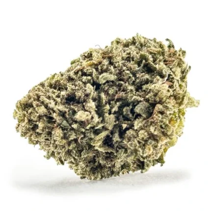 Amnesia 2.0 Hydro flor cbd