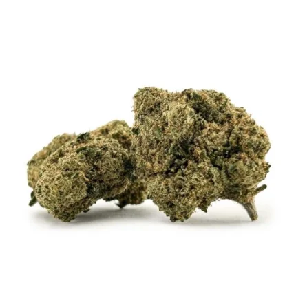 flores cbd jack herer
