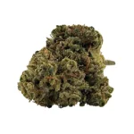 ccogollo de gorilla mandarine