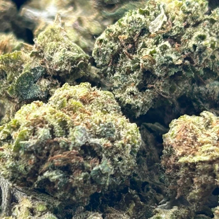 cogollos de gorilla mandarine