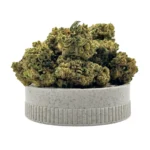 elephant kandy cogollos en grinder