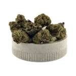 gorilla mandarine en grinder