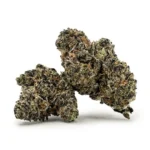 Purple Haze - Imagen 2