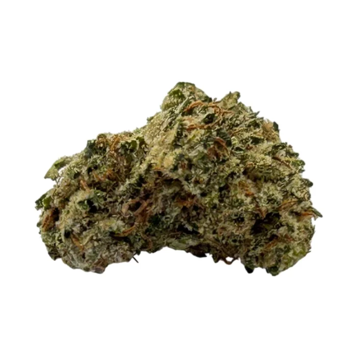 tyger mango cogollo