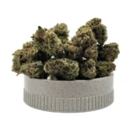 tyger mango cogollos grinder