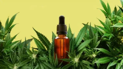 Comprar CBD en JustBob: Comparativa y alternativas reales