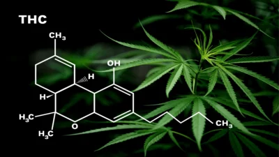 Descubre las principales diferencias entre CBD y THC: propiedades, efectos, usos medicinales, legalidad, beneficios y riesgos. Aprende cómo se comportan ambos compuestos del cannabis en tu cuerpo y cuál elegir según tus necesidades.