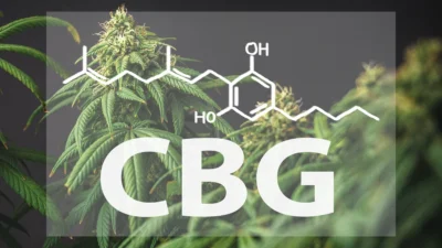 Descubre que es el CBG y sus cualidades