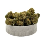 gangsters gas en grinder