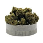glactic glue cogollos en grinder