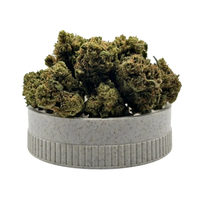 glactic glue cogollos en grinder