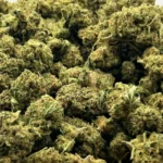 space haze cogollos
