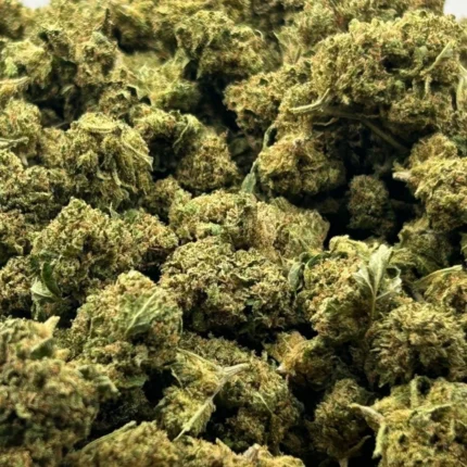 space haze cogollos