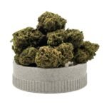 space haze cogollos grinder