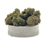 sweet hell cogollos grinder