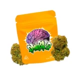 Descubre Amnesia 47 CBD de Gorilla Grillz. Una genética única (Amnesia x AK-47) con alto CBD y aroma intenso.