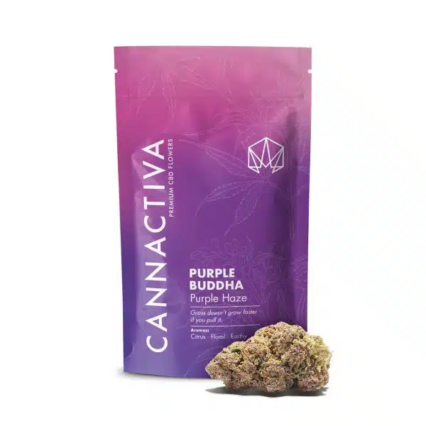 Cannactiva Flores CBD PURPLE BUDDHA (Purple Haze) Cannactiva Flores CBD PURPLE BUDDHA (Purple Haze)