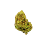 Descubre Cherry Kush CBD de Gorilla Grillz. Una flor de CBD dulce y refrescante con 10,3% de CBD.