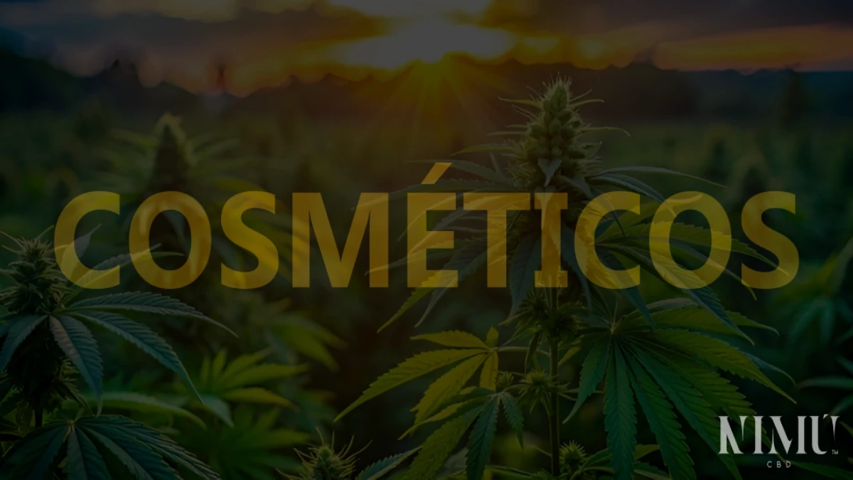 Cosmética CBD Comprar en Tienda Online