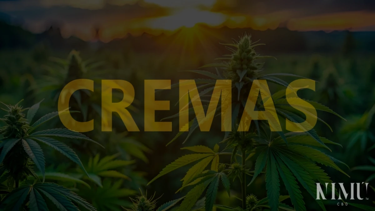 Crema CBD Comprar en Tienda Online