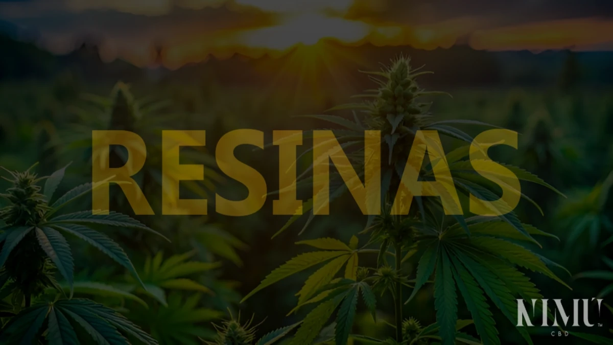 Resinas CBD Comprar en Tienda Online