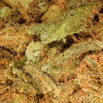 Compra OG Kush, la flor CBD premium de Mama Kana.