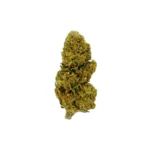 Descubre Lemon Haze CBD de Gorilla Grillz.
