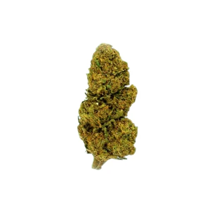 Descubre Lemon Haze CBD de Gorilla Grillz.