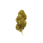 Descubre Strawberry CBD de Gorilla Grillz.