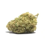 Vibration de Cannactiva