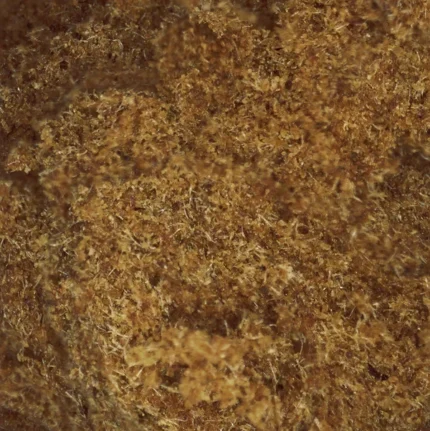 King Hassan CBD de Mama Kana. Un hash artesanal prensado en caliente.