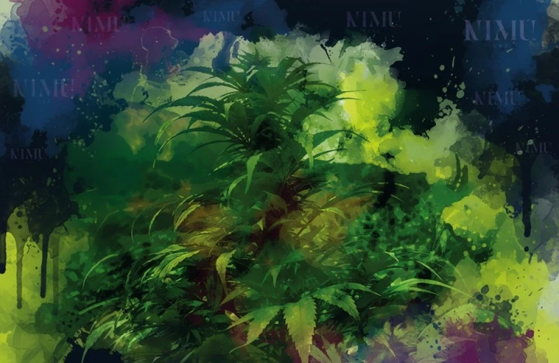 comprar cbd Online Barato en la Tienda Online de CBD de Nimú