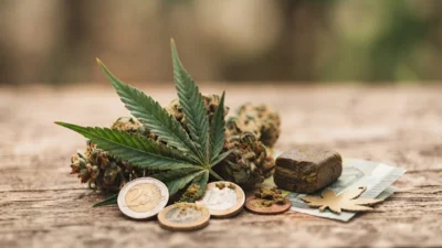 Los Mejores Cupones CBD - Hasta 400 € de CBD GRATIS en España