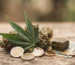 Los Mejores Cupones CBD - Hasta 400 € de CBD GRATIS en España