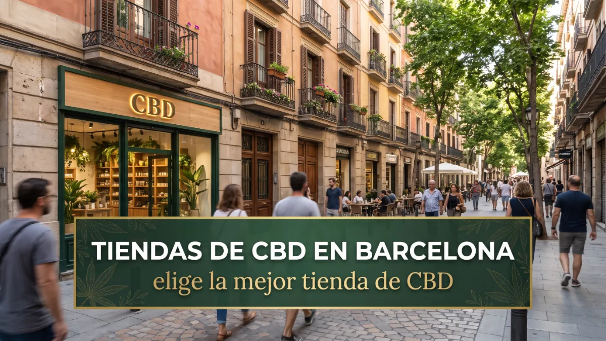 Mejor Tienda de CBD en Barcelona Online